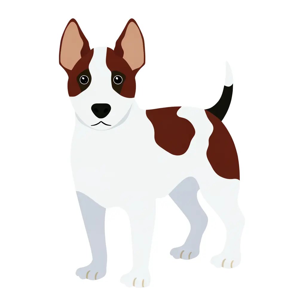Danish-swedish Farmdog