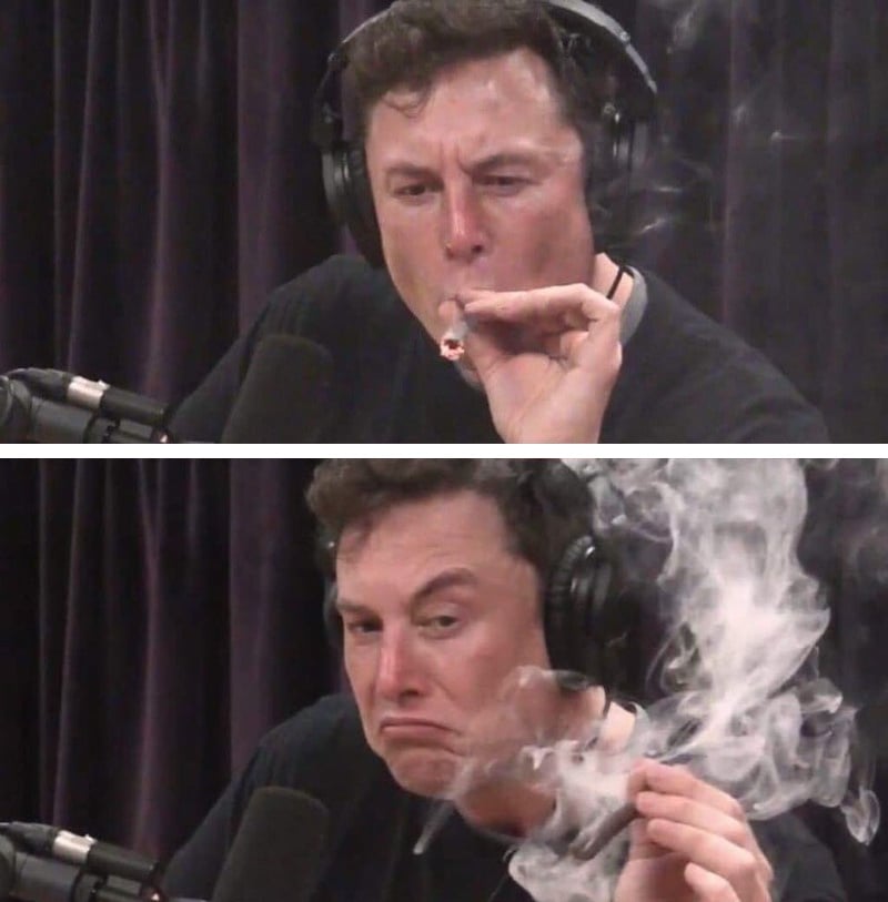 Elon Musk Smoking Weed (2 Panel)