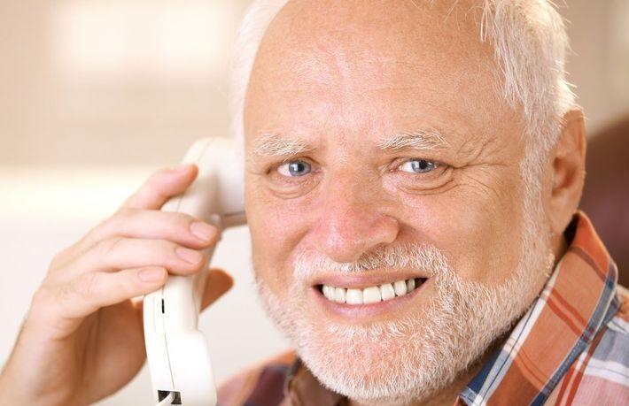 Hide the Pain Harold