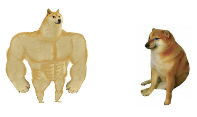Swole Doge vs. Cheems