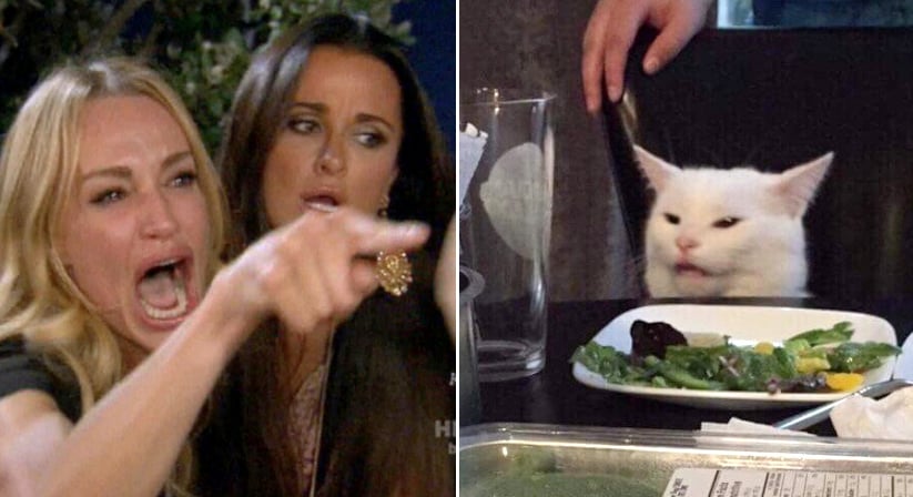 Woman Pointing at Cat